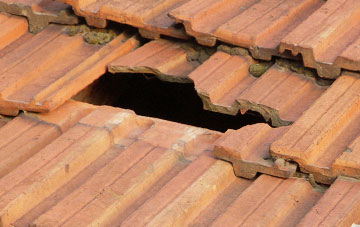 roof repair Highfields